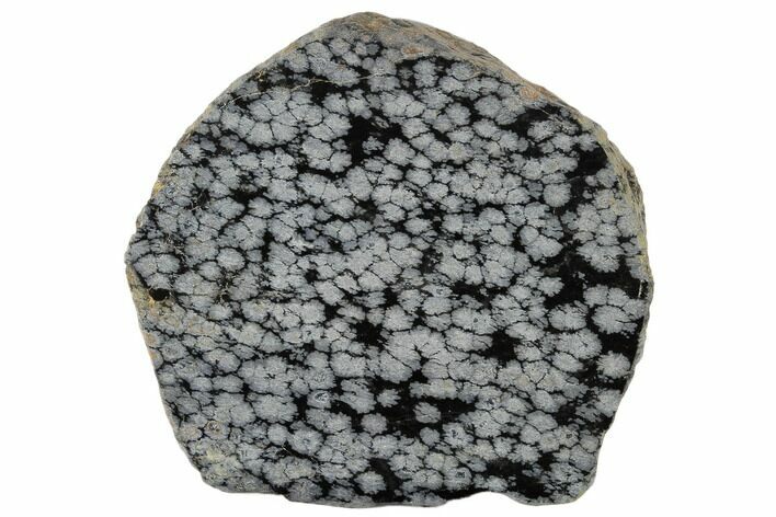 Polished Snowflake Obsidian Section - Utah #117762